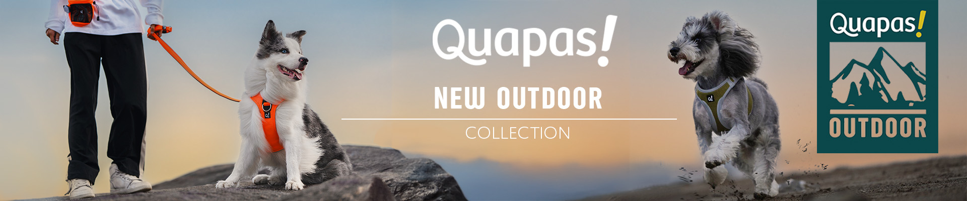 Quapas!