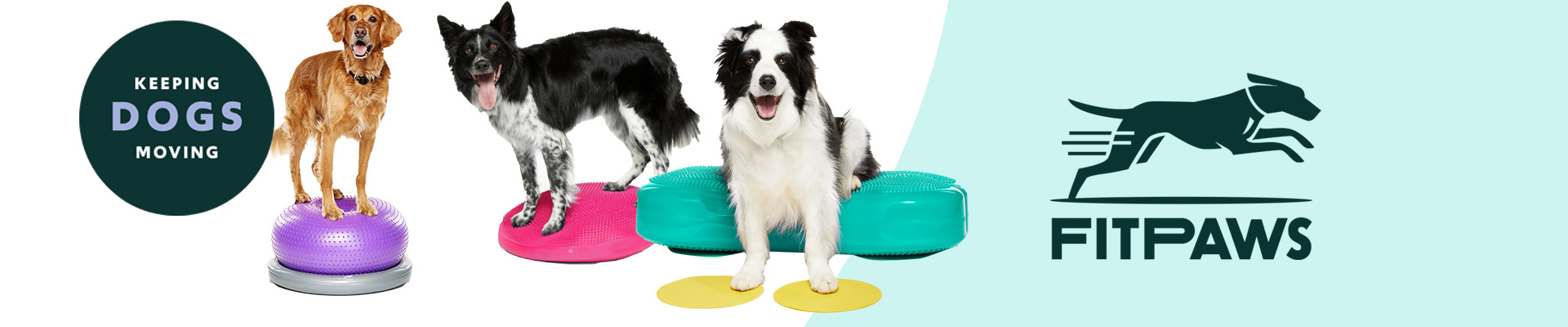 Fitpaws