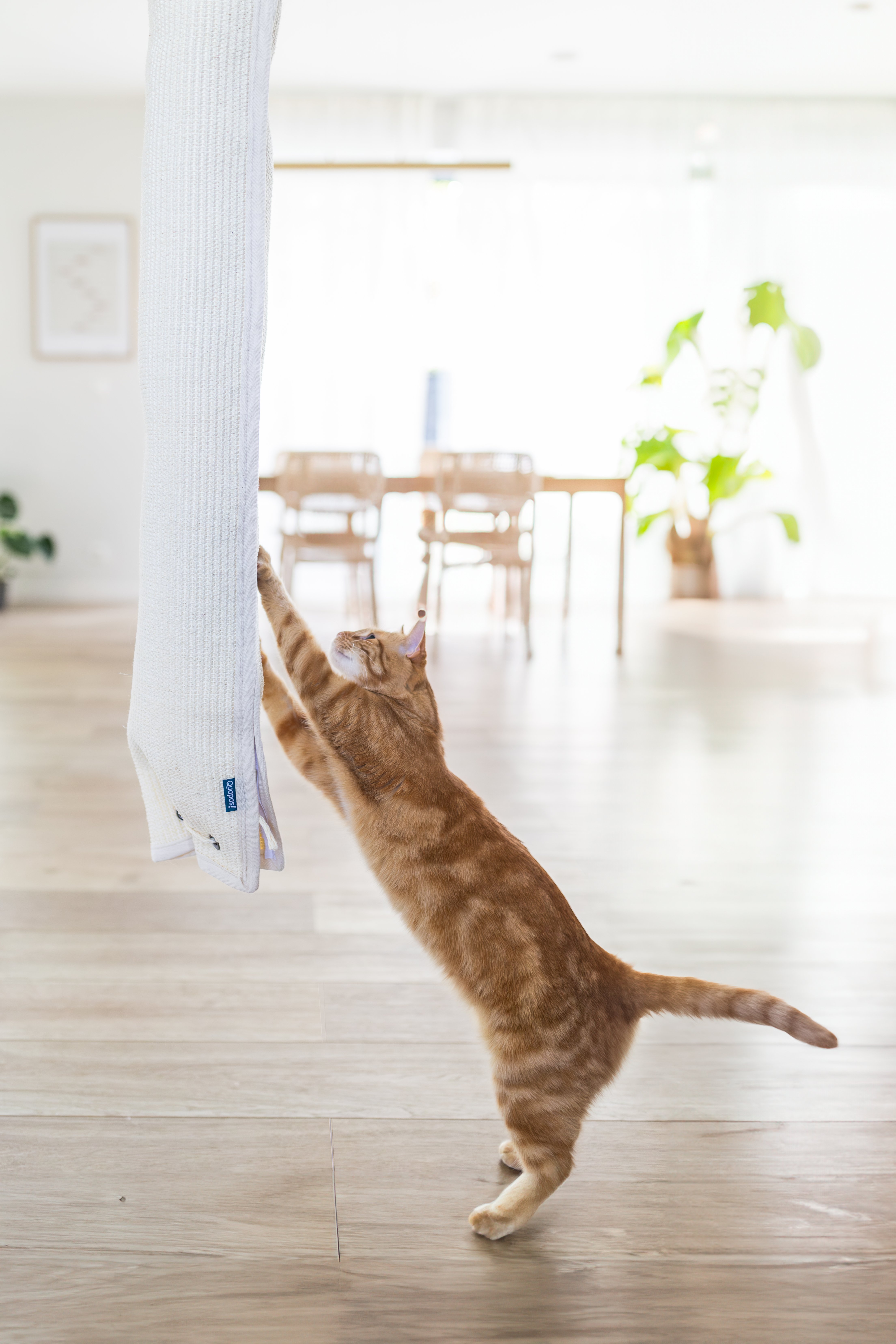 Quapas ! Sac d’escalade Sisal 180cm