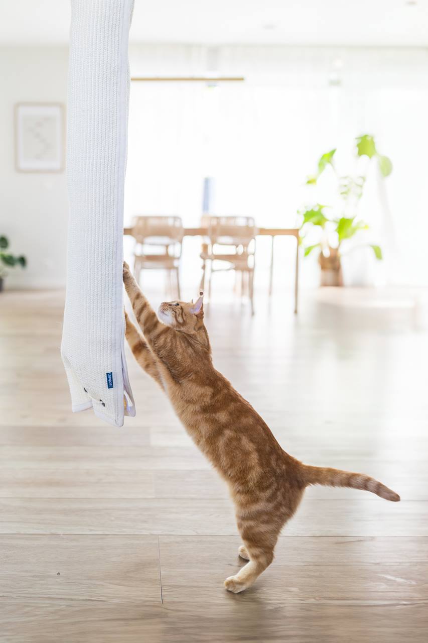 Quapas ! Sac d’escalade Sisal 180cm