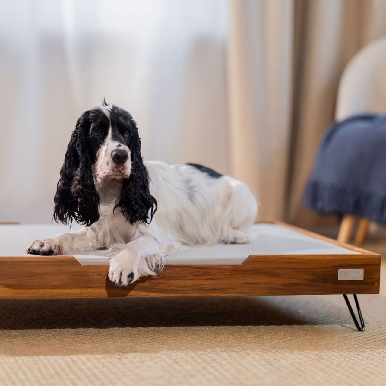 QUAPAS! Premium Teakhouten Hondenbed