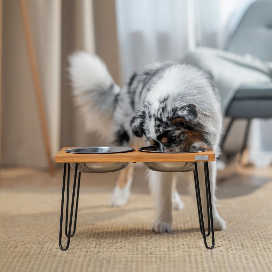 Quapas! Station de Repas Premium en Teck