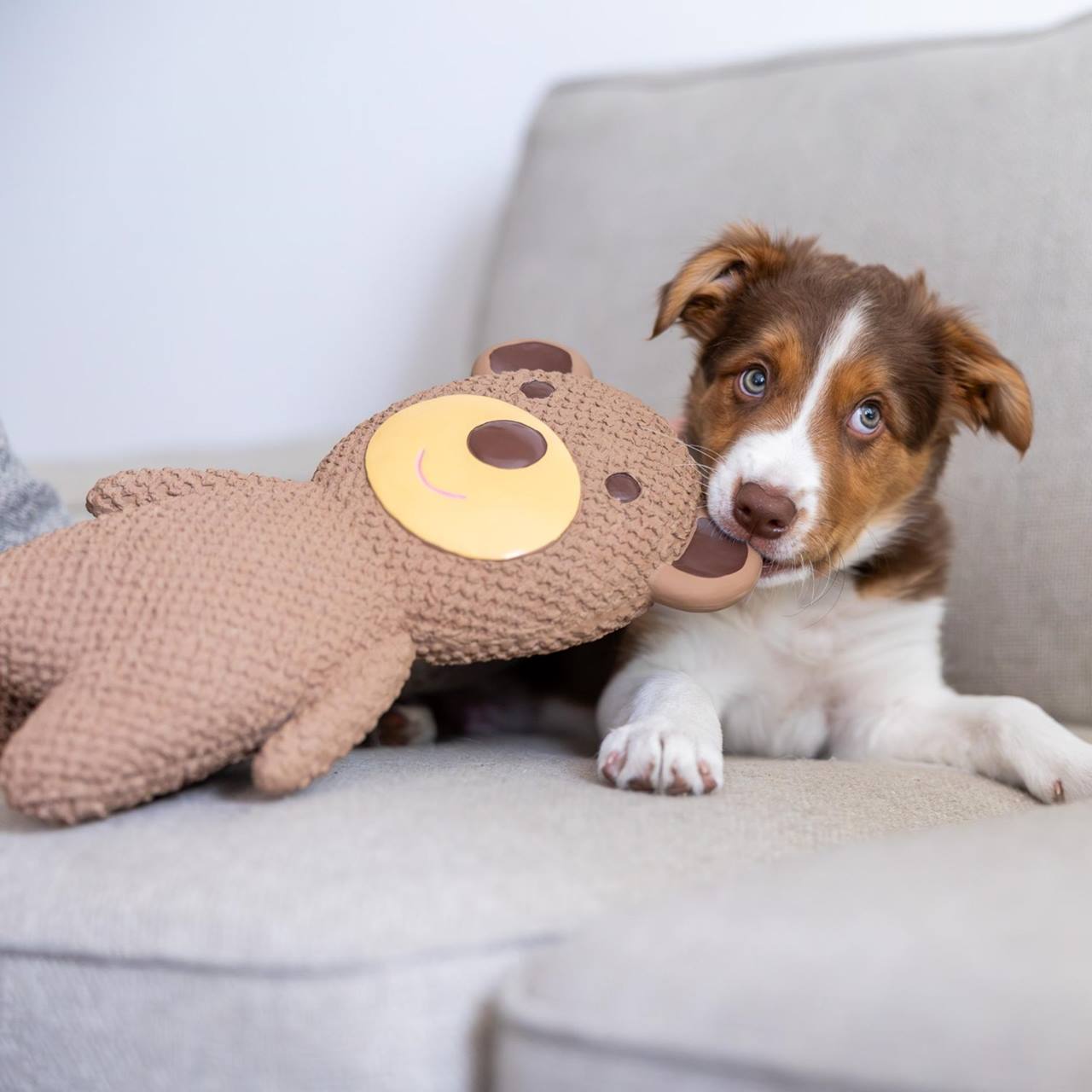 Quapas! Dog Toy XXL Bear - 33cm