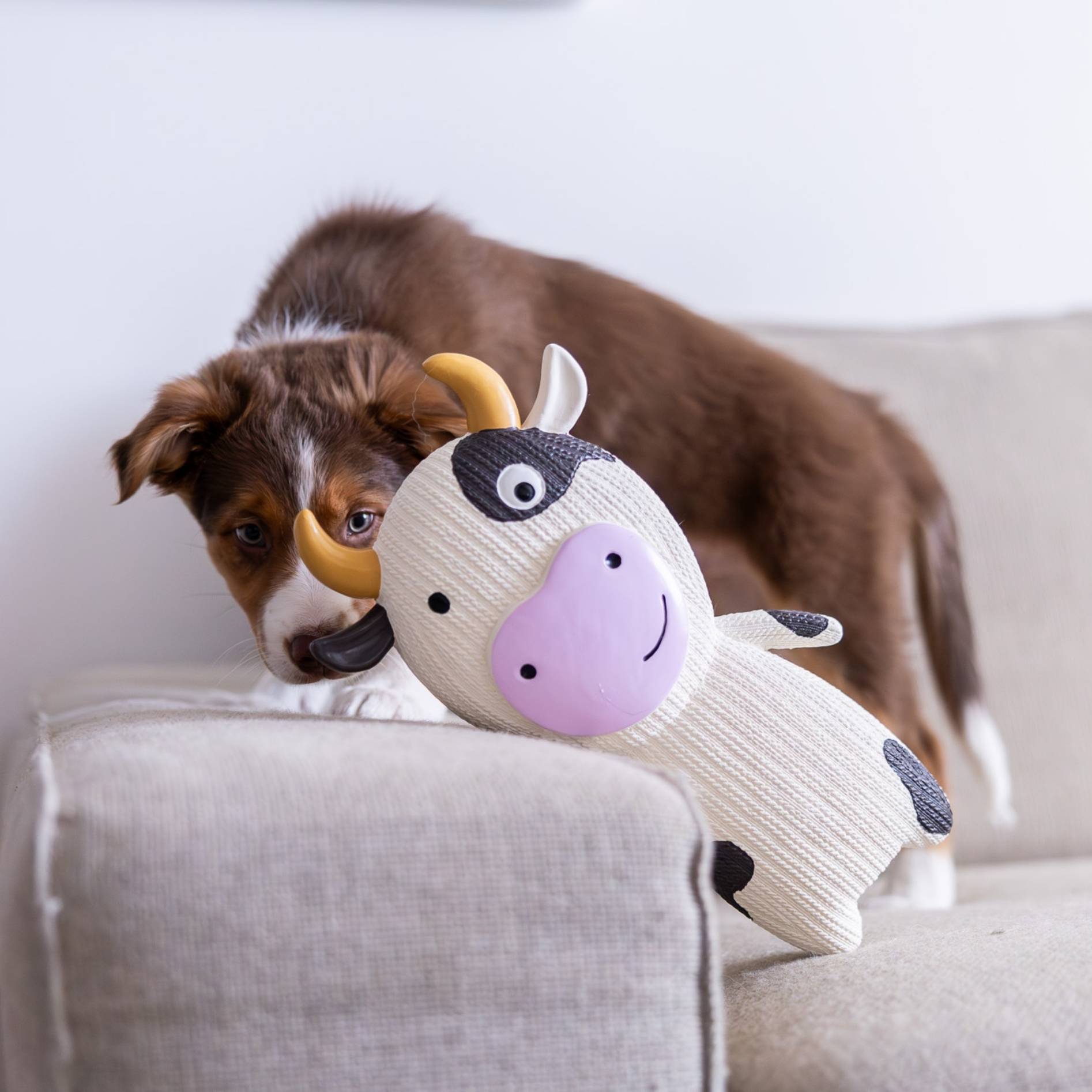 Quapas! Dog Toy XXL Cow - 33cm