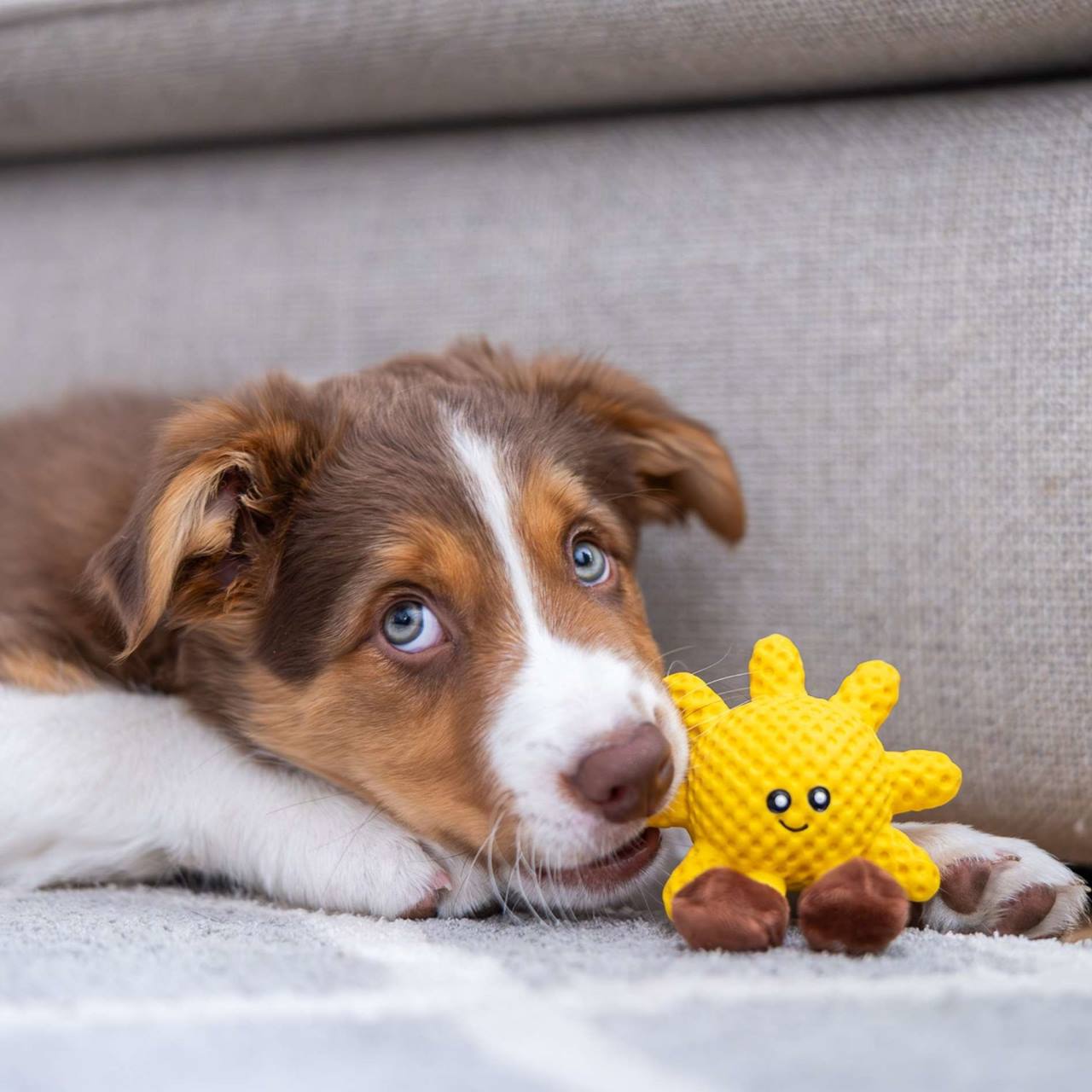 Quapas! Puppy Speeltje Sunny 7cm