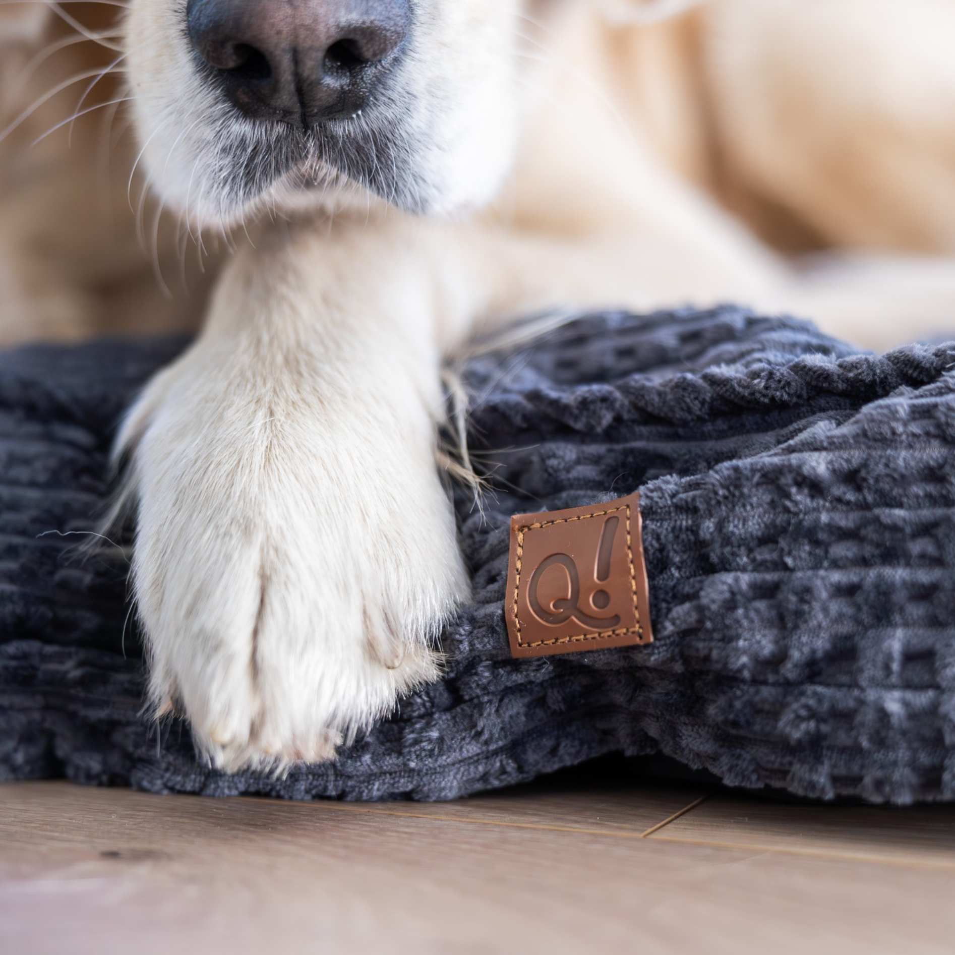 QUAPAS! Comfort pillow Grey