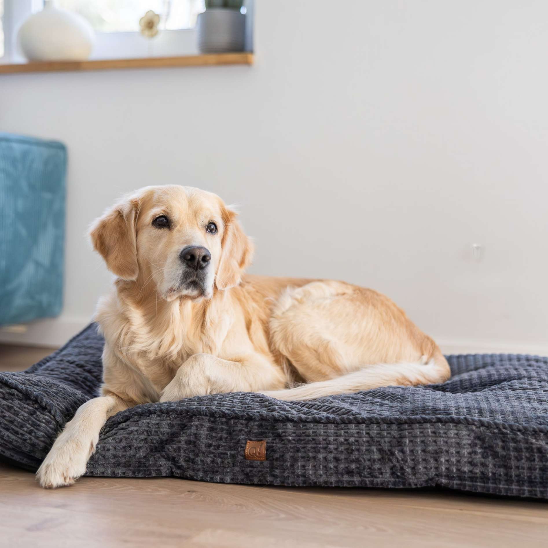 QUAPAS! Comfort pillow Grey