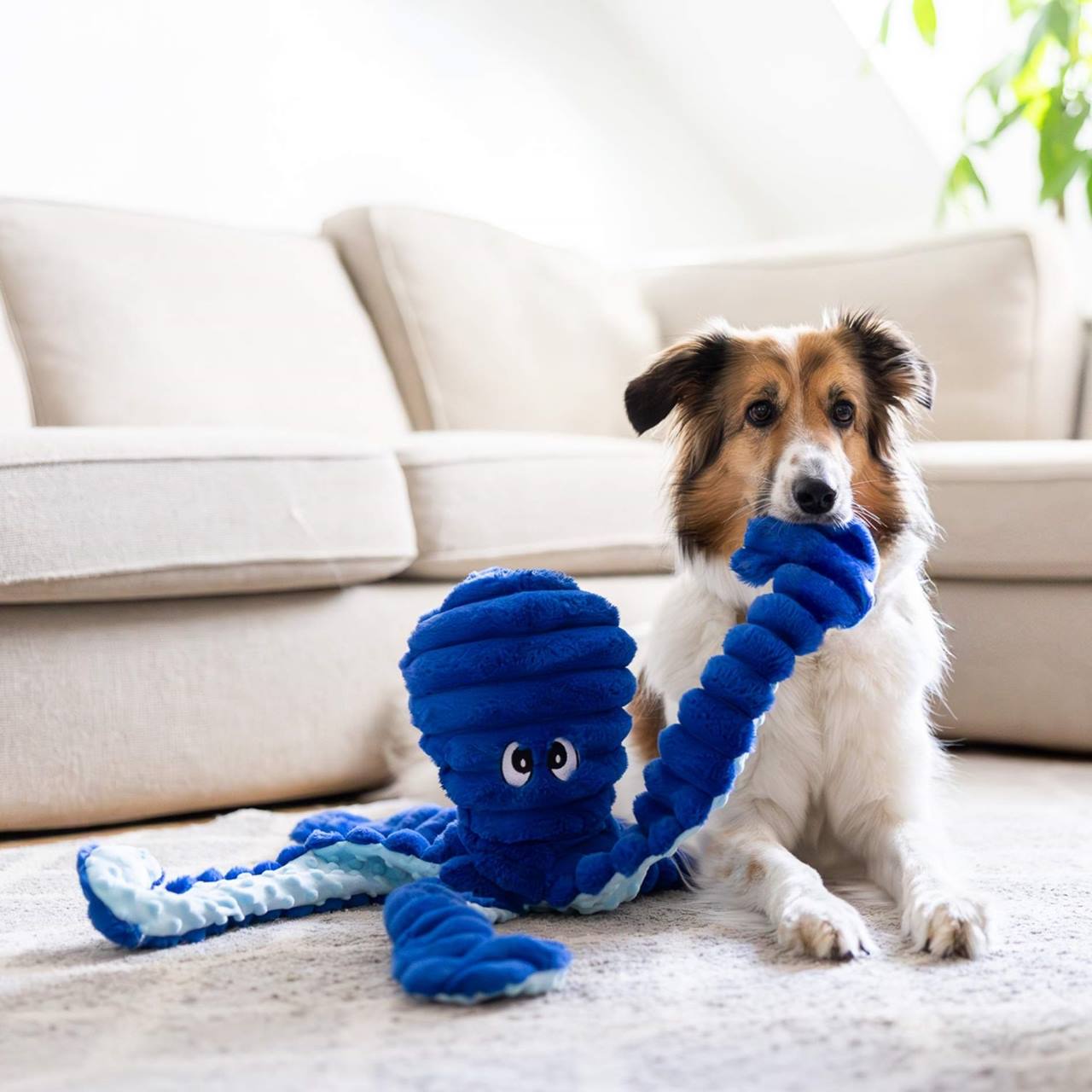 Quapas! Giant Octopus 66 cm Navy Blue