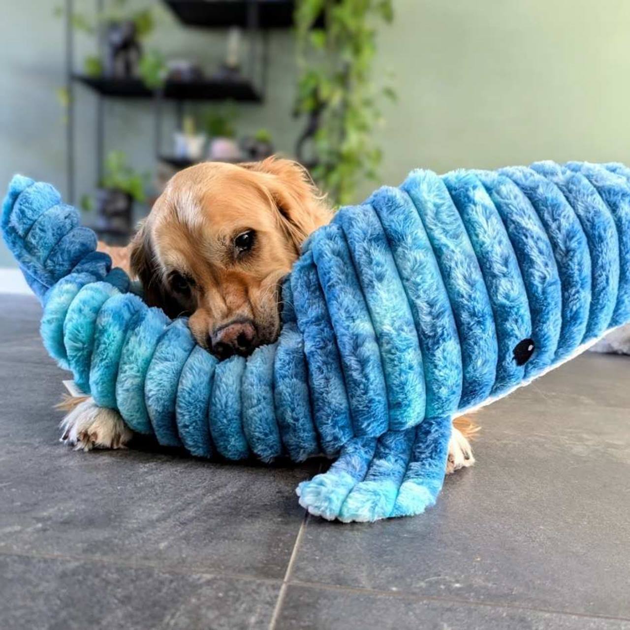 Quapas! XXL Walvis 91cm