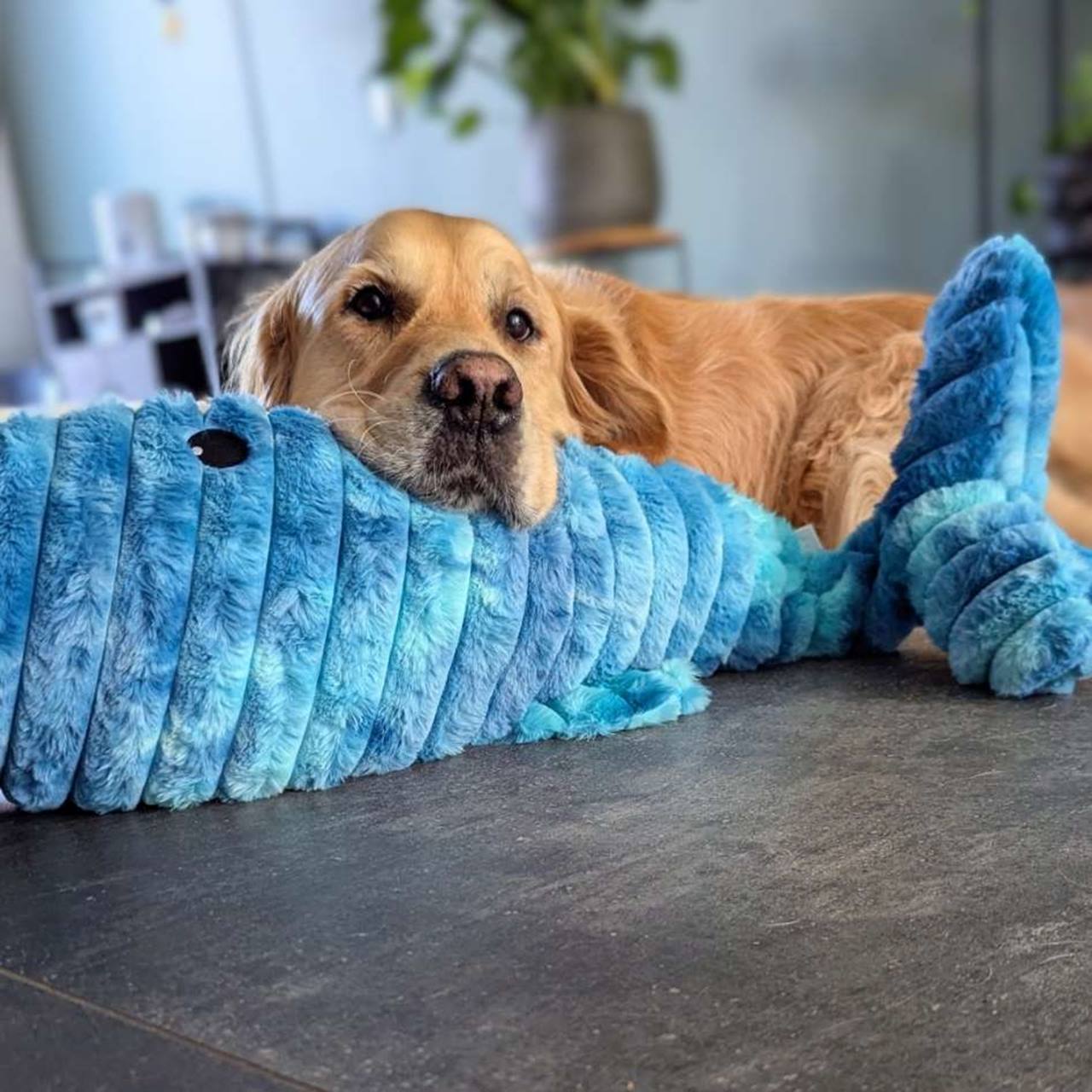 Quapas! XXL Walvis 91cm