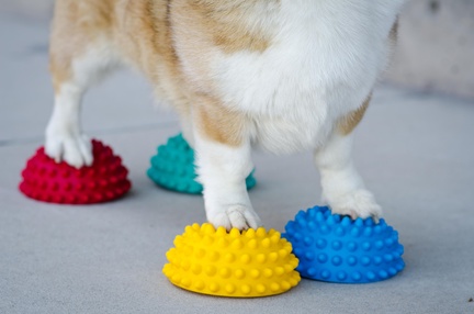 FitPAWS Paw Pods, Anti-Skid Platform