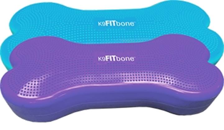 Giant - K9FITbone , Turquoise