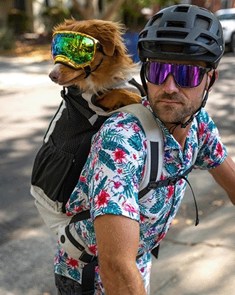 K9 Sport Sack® Knavigate Dune Red