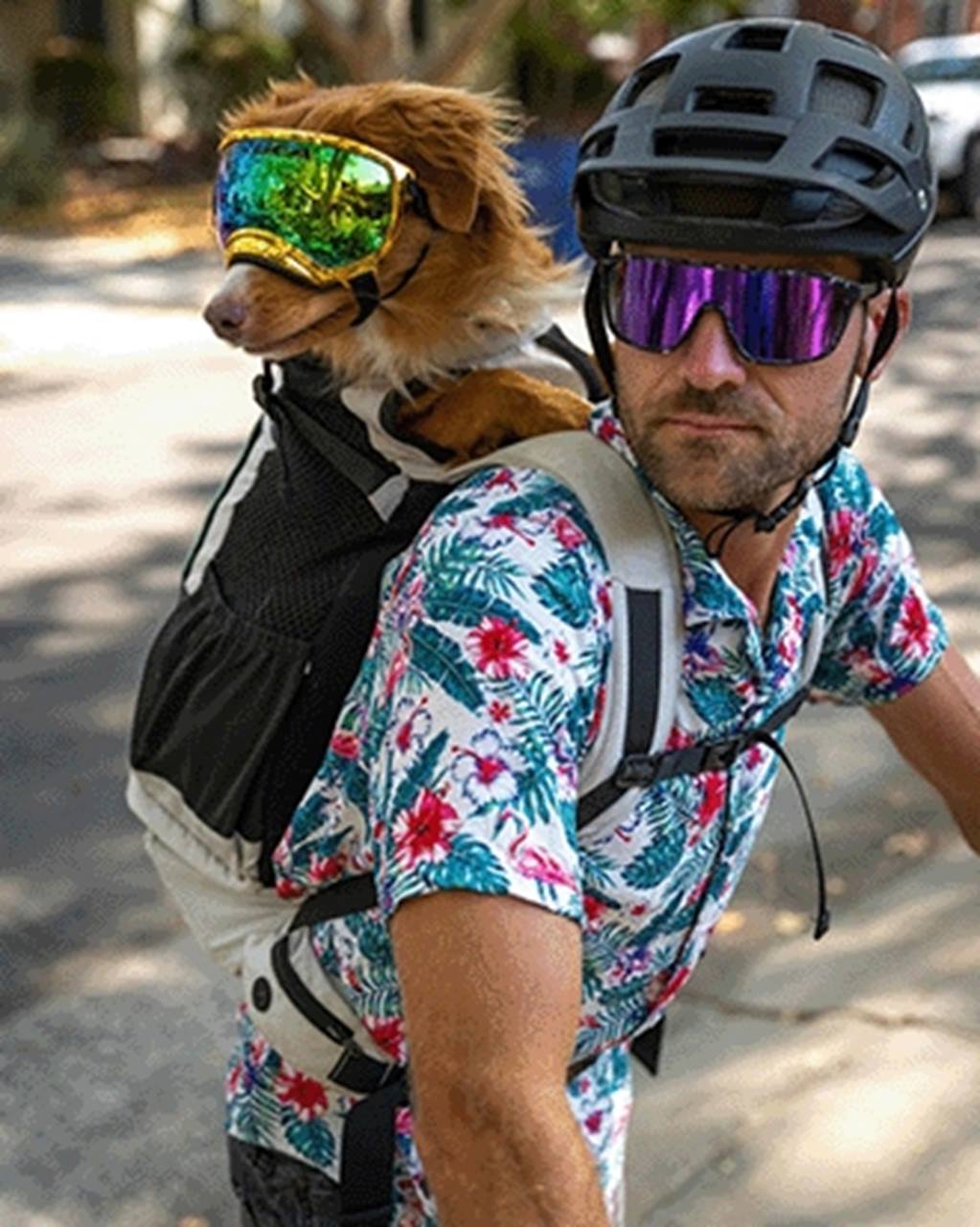 K9 Sport Sack® Knavigate Dune Red