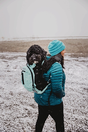 K9 Sport Sack® PLUS 2 Summer Mint