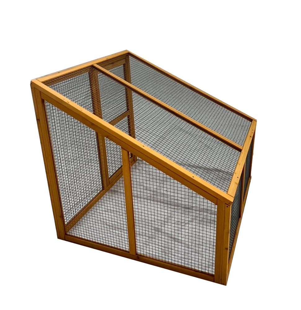 Premium chicken running Woods