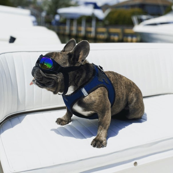 K9 Sport Shades - Dog Goggles black