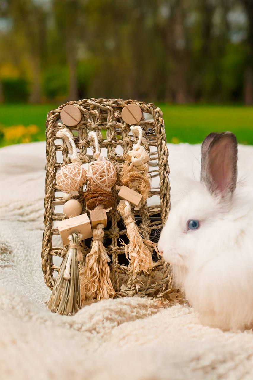 Quapas ! Mur de grignotage L