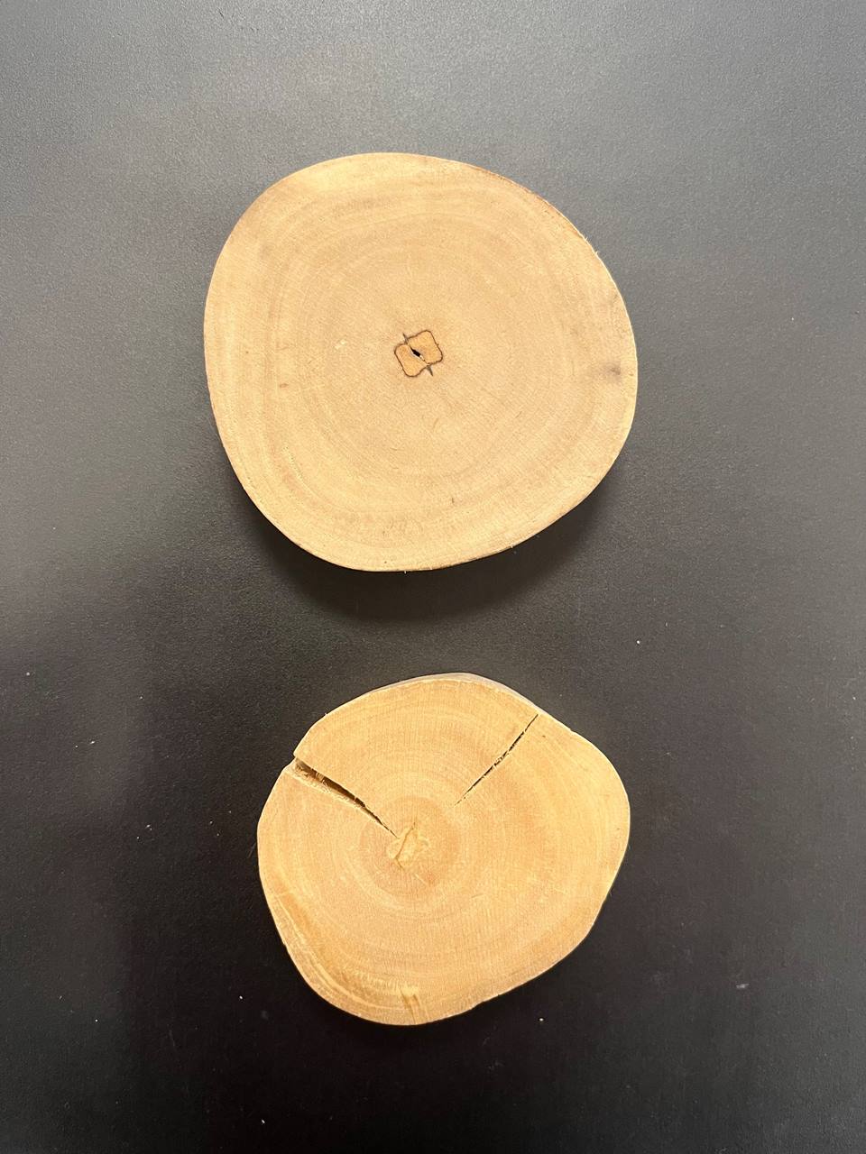 Quapas! Coffeewood gnawing wood 6pcs