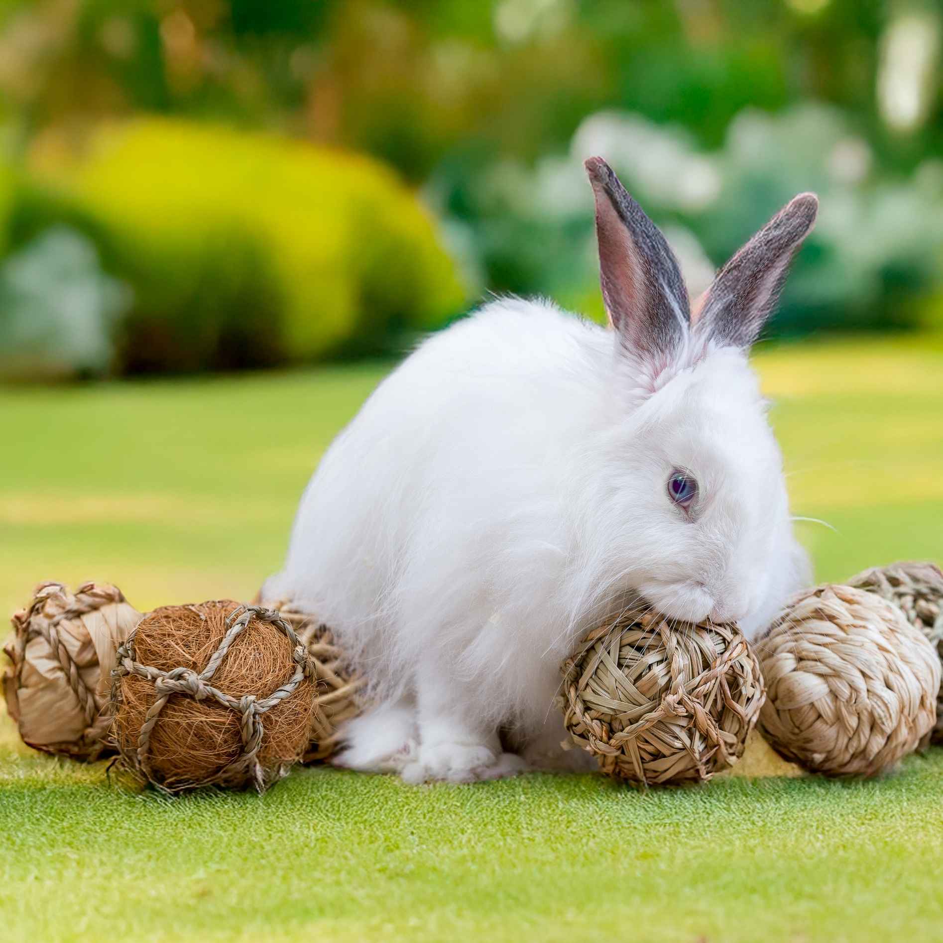 Quapas! Nibble giftbox 8pcs