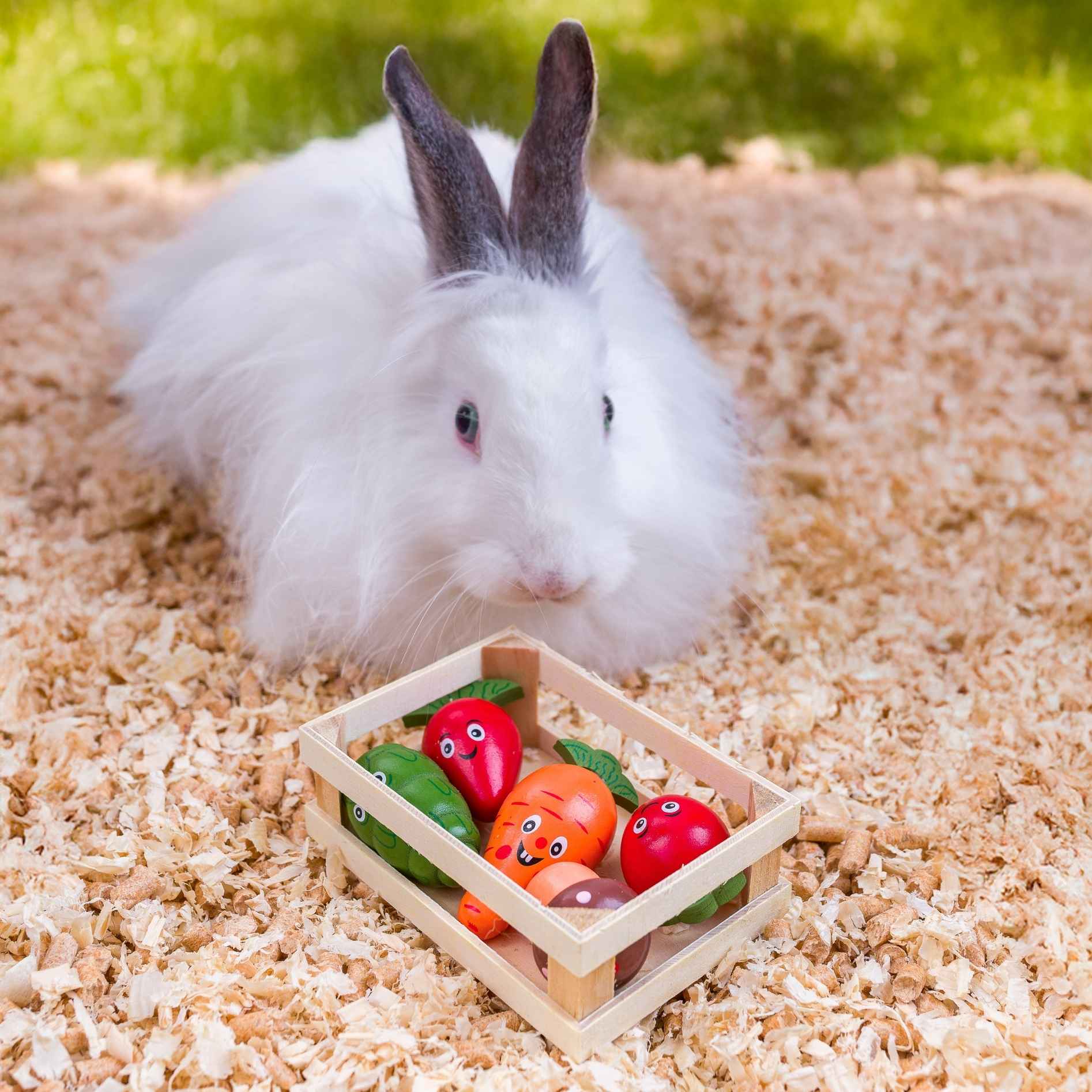 Quapas! Veggie crate