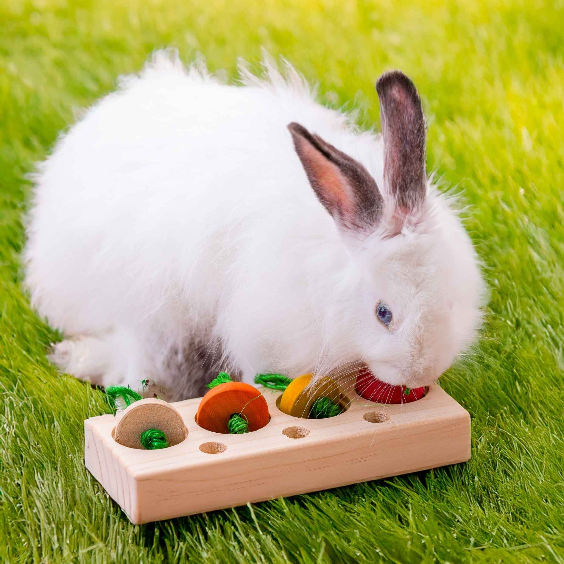 Quapas! Veggies snack puzzle