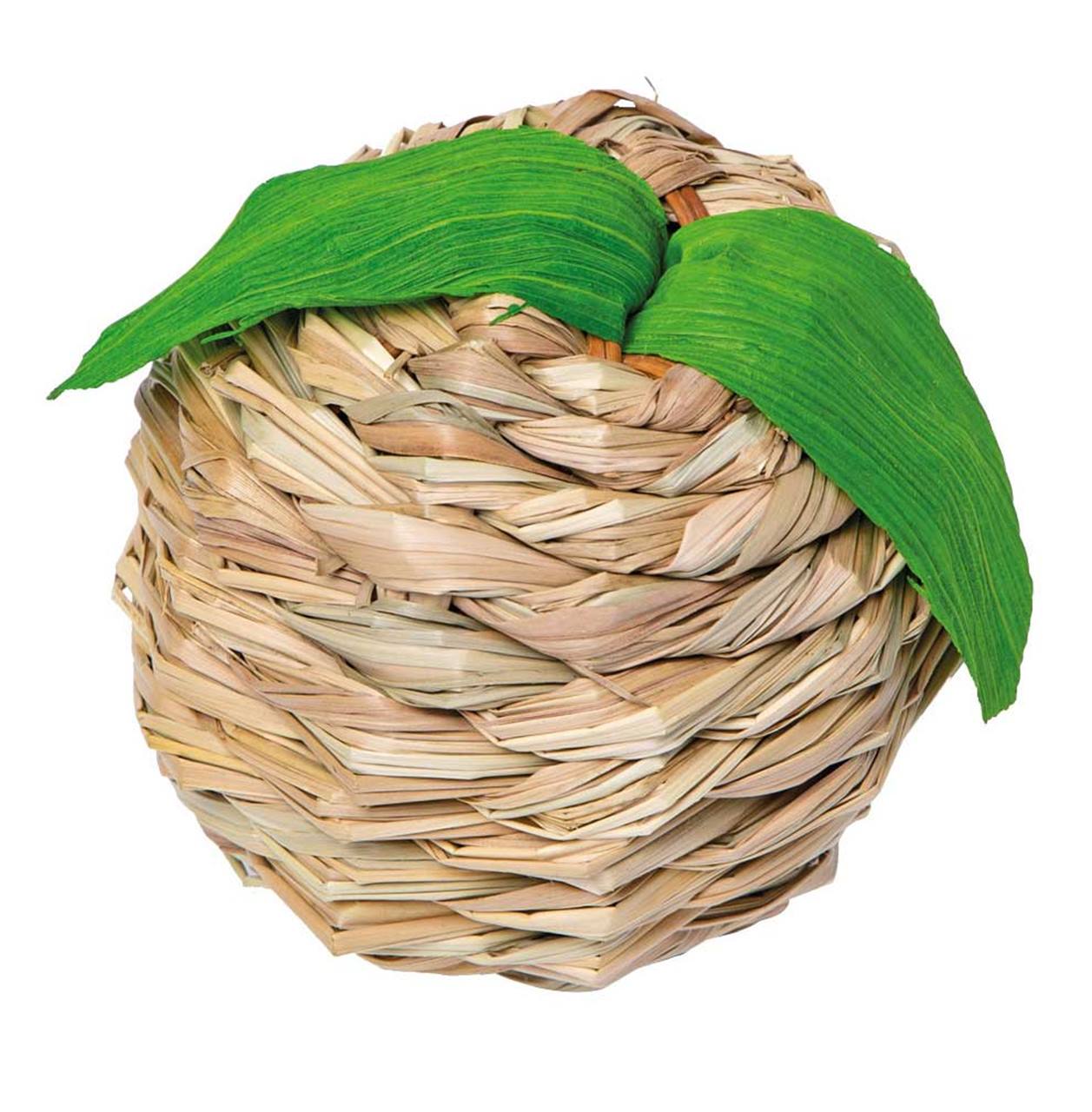 Quapas! Bulrush apple