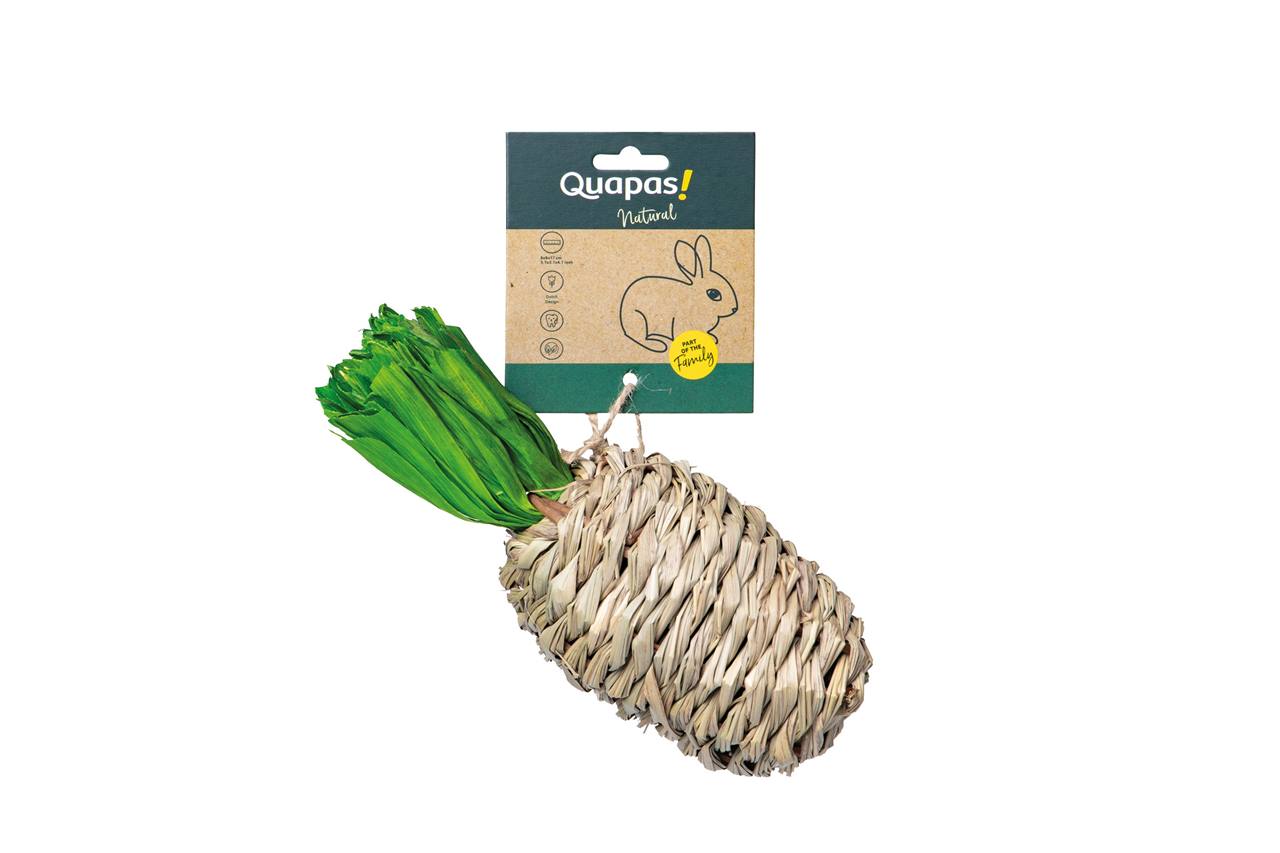 Quapas! Hibiscus woven pineaplle L