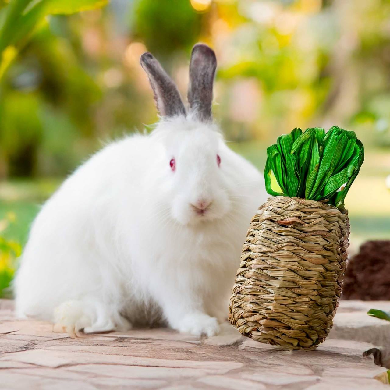 Quapas! Hibiscus woven pineaplle L