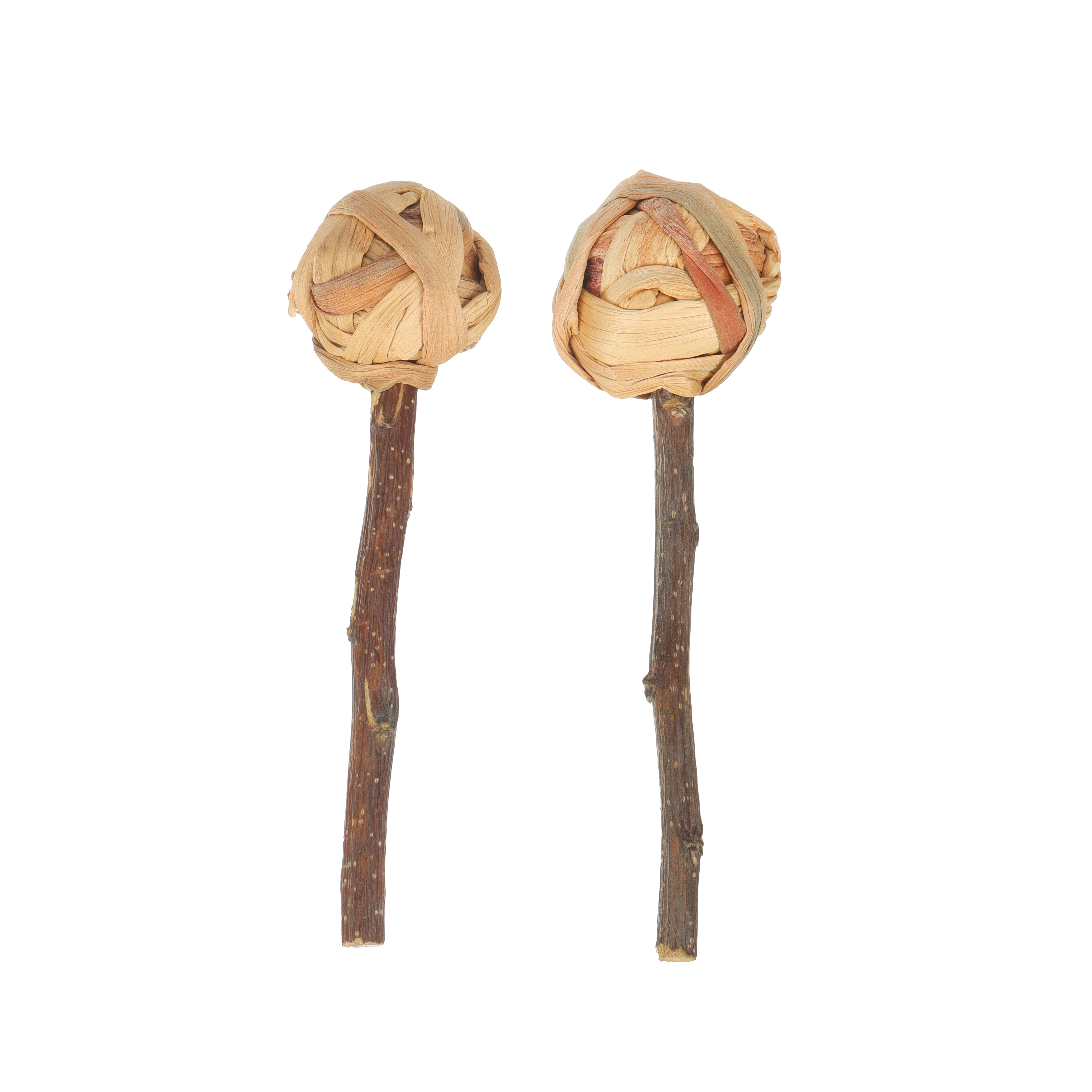 Quapas! Lollipop 2pcs