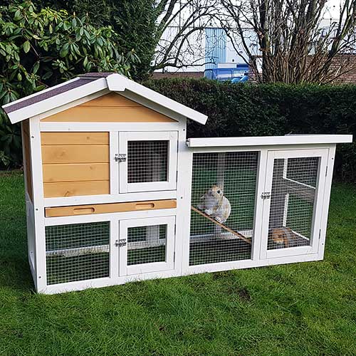 Kaninchenstall Queensland