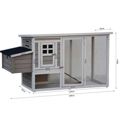 Chickenhouse Donald white grey