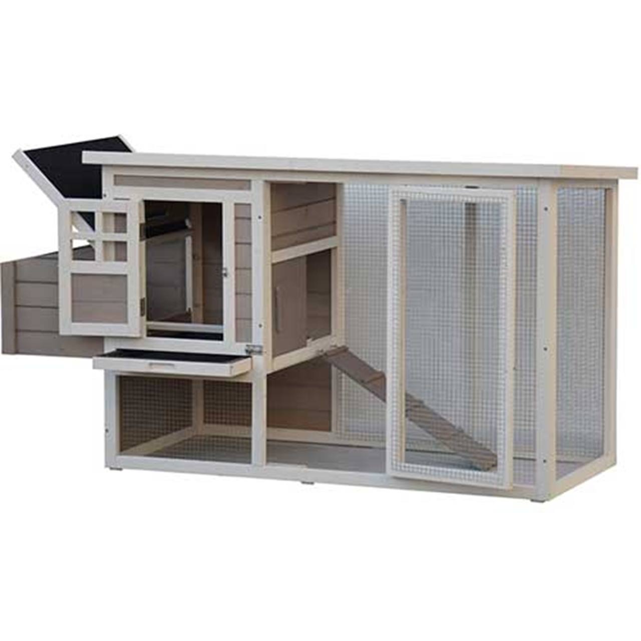 Chickenhouse Donald white grey