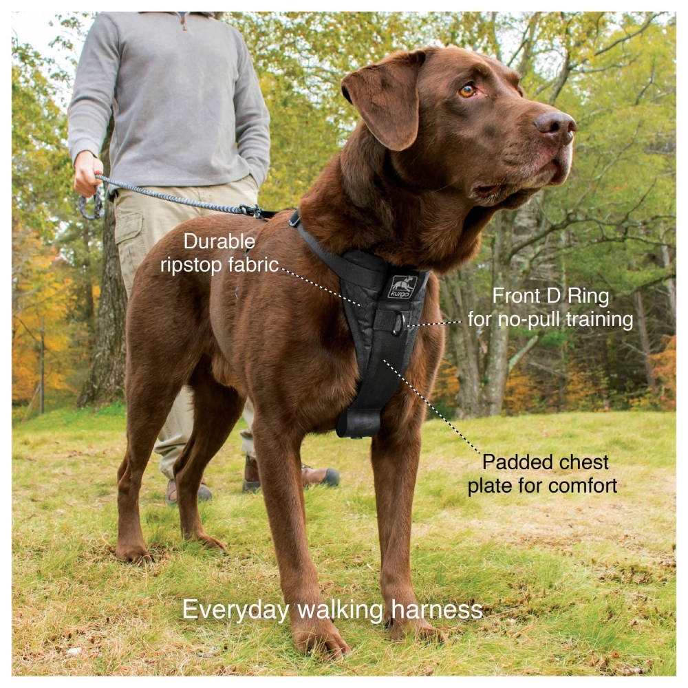 Kurgo Enhanced Strength Tru-Fit Smart Harness, Black, S