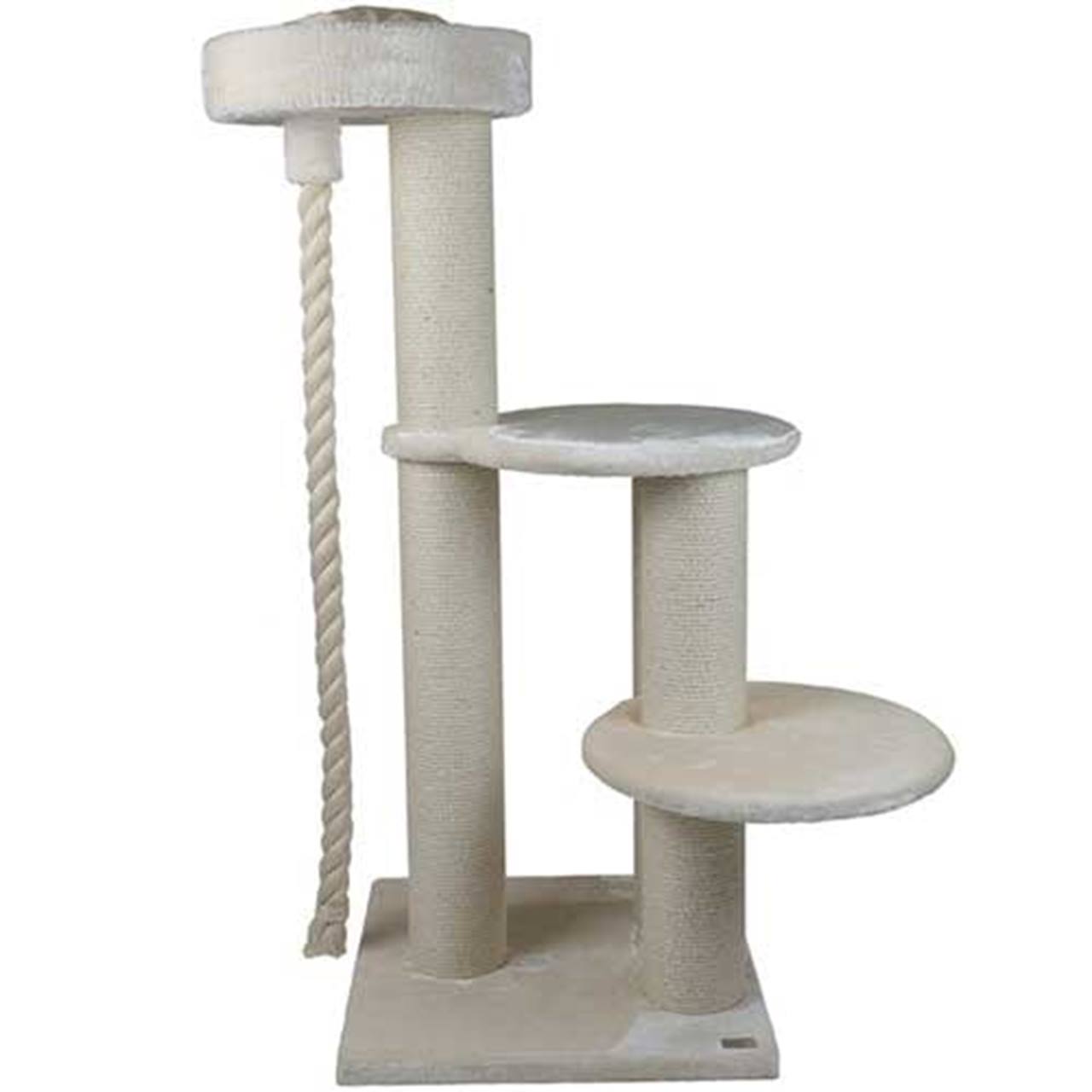 Quapas ! Crème robuste