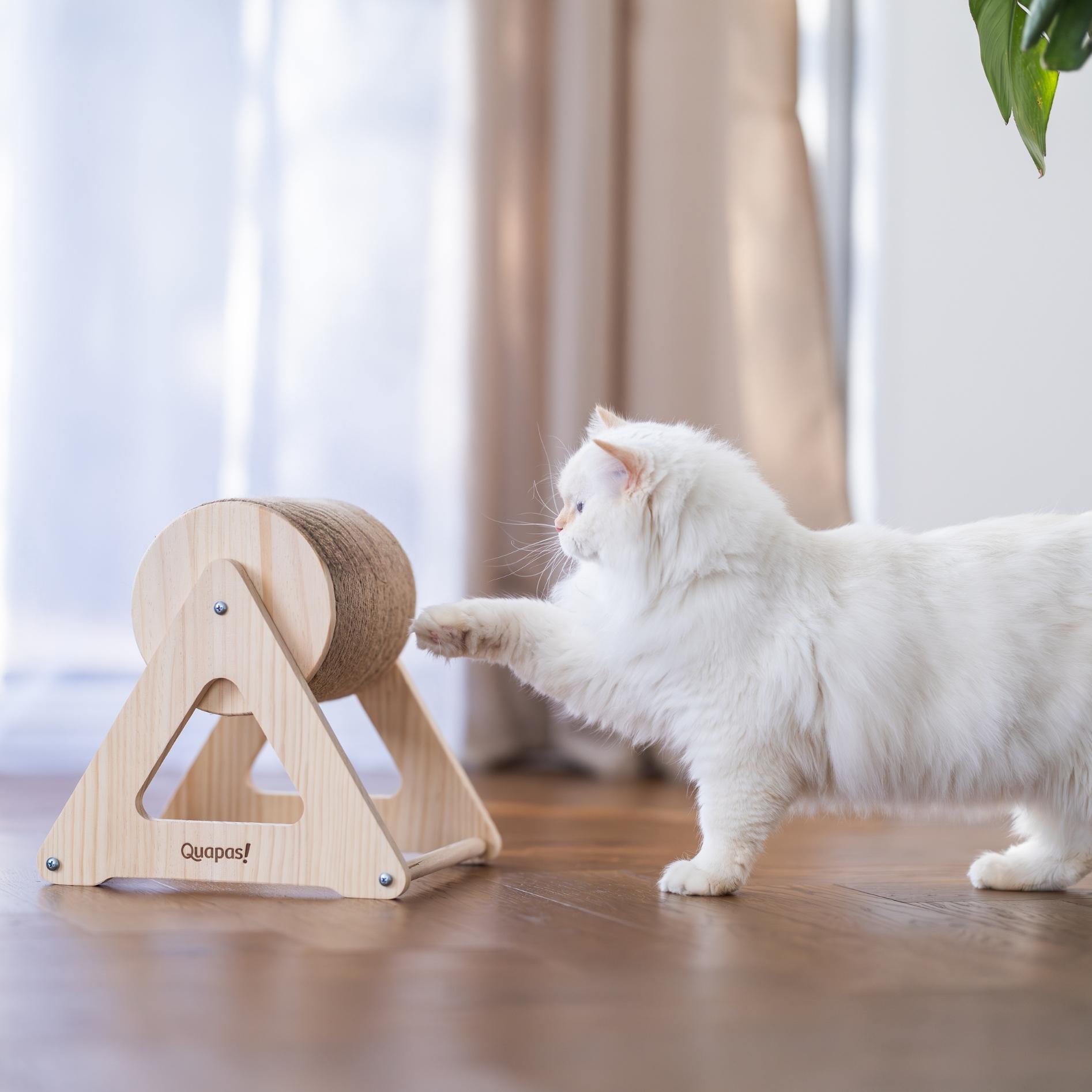 Quapas! Scratching Cylinder