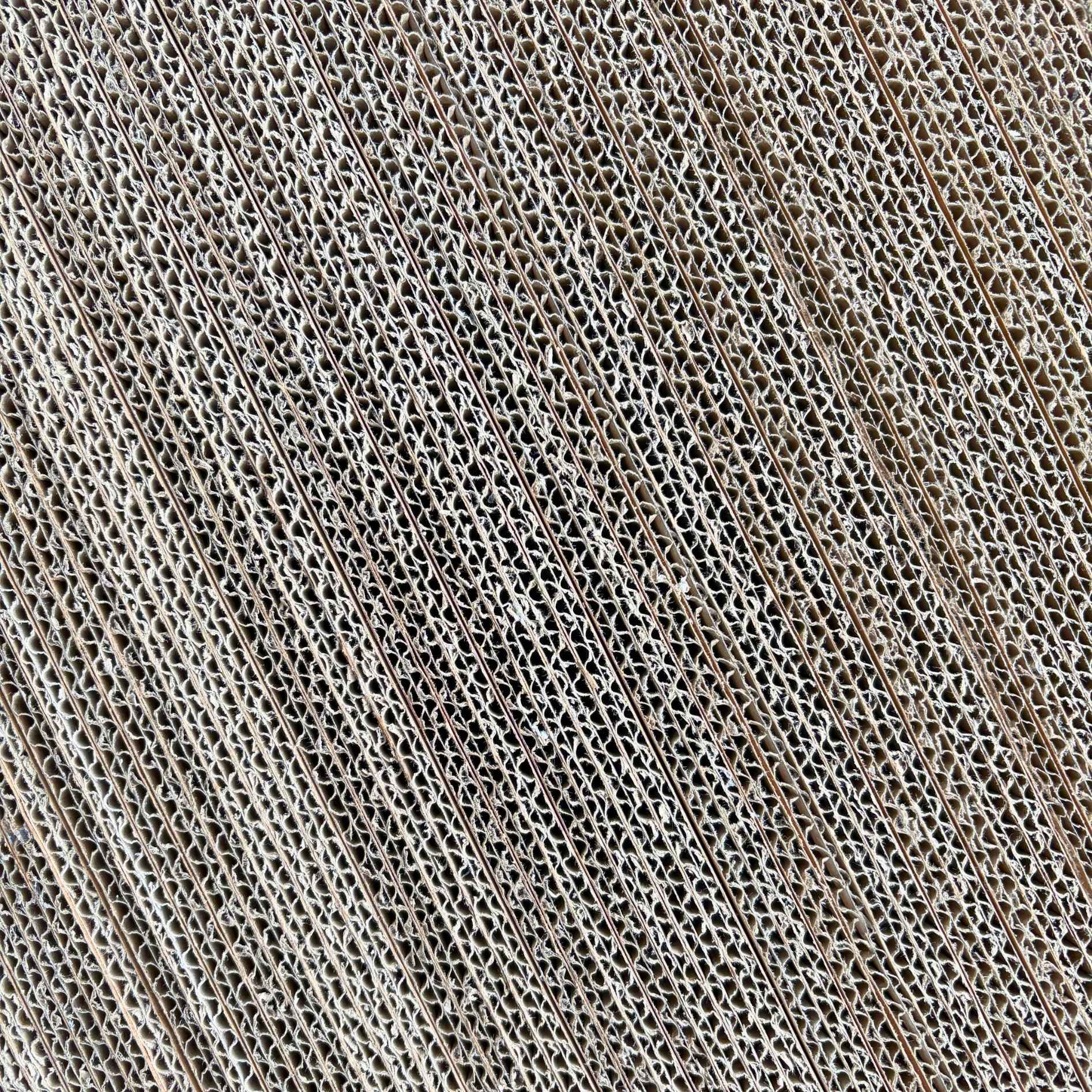 Quapas! Teak Scratcher Refill – Set of 2