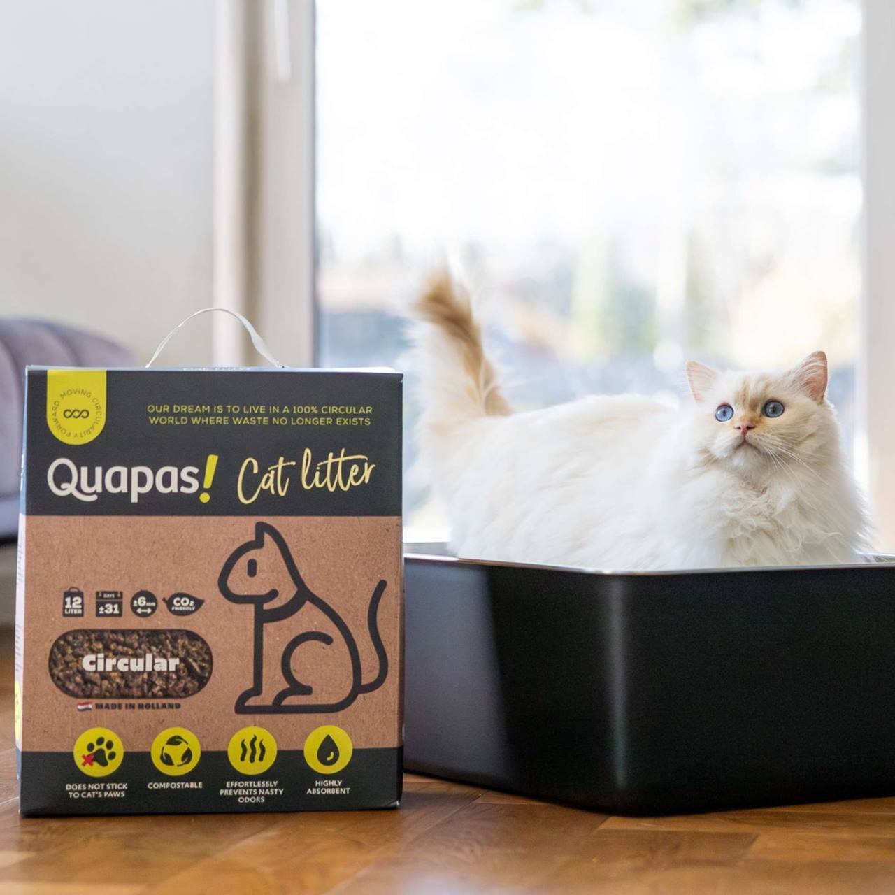 Quapas! Cat litter tray Stainless steel Black