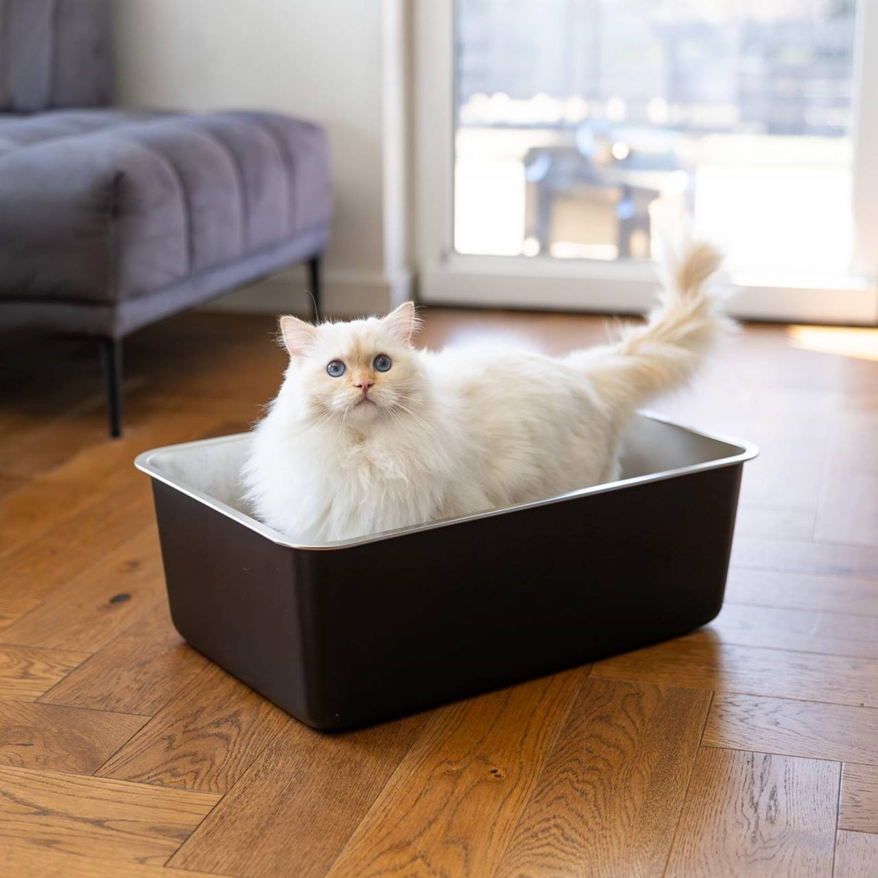 Quapas! Cat litter tray Stainless steel Black