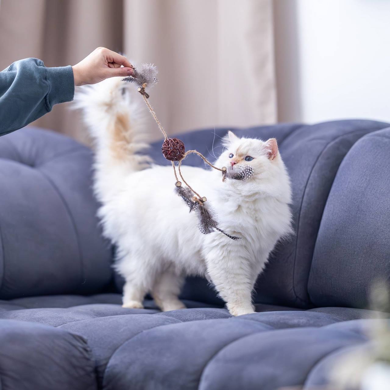 Quapas! Cat toy Rattan ball with feathers B