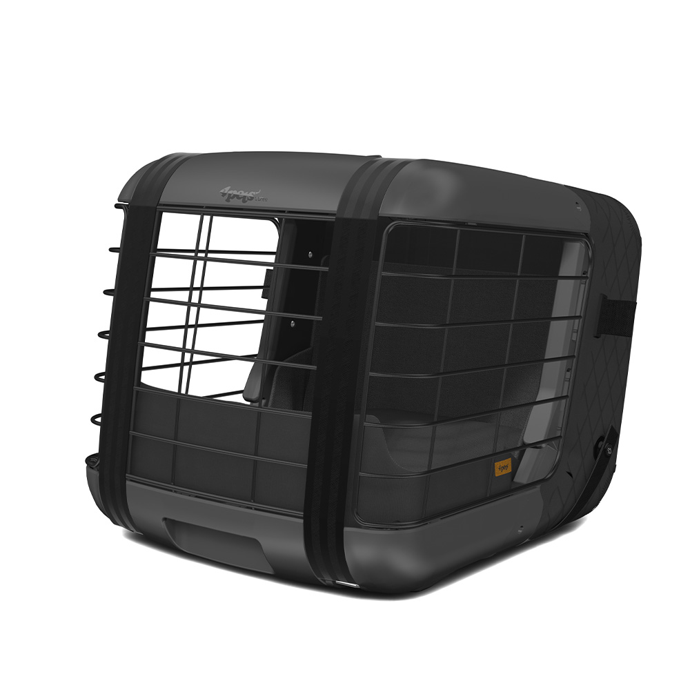 4Pets Caree, Black Series