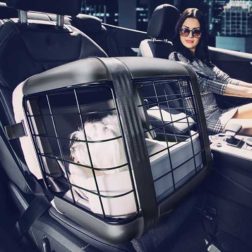 4pets Caree - Cool Grey