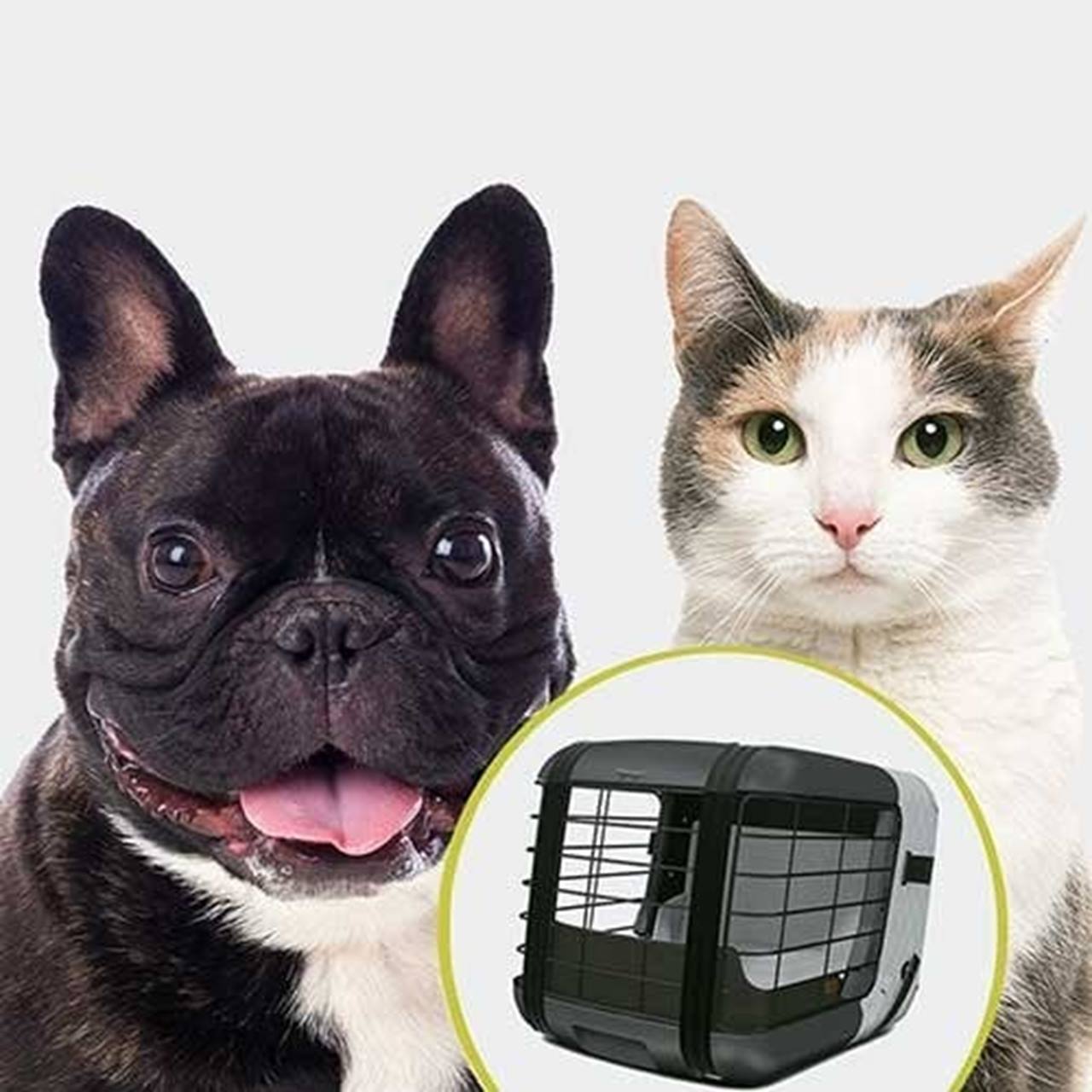 4pets Caree - Cool Grey