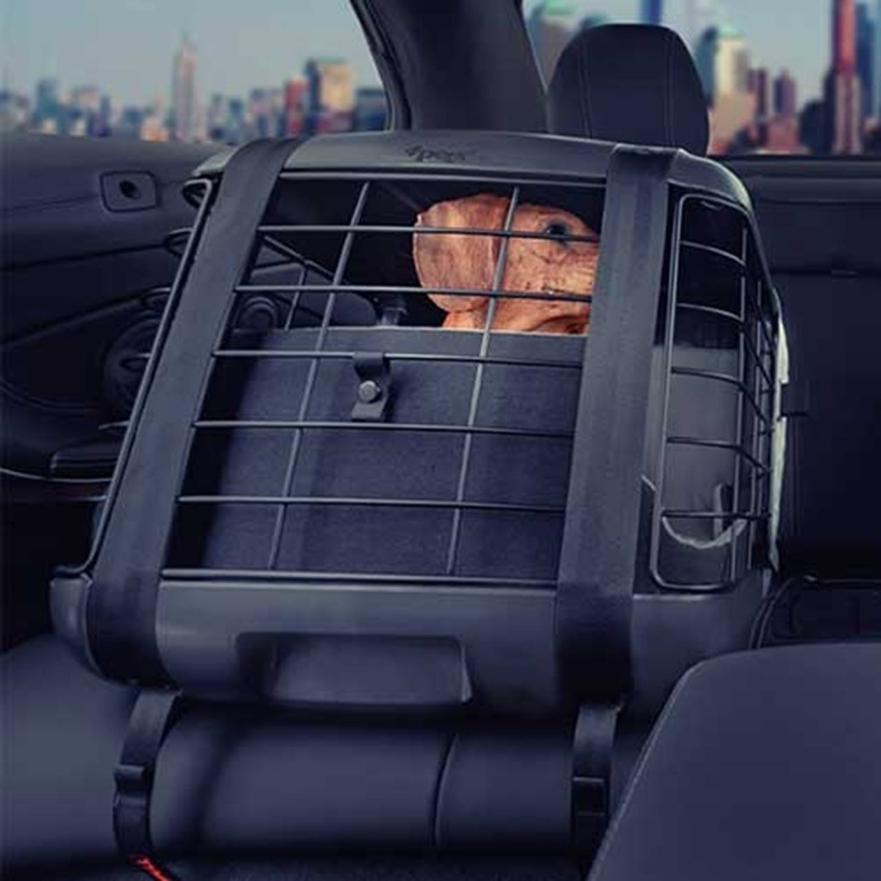 4pets Caree - Cool Grey