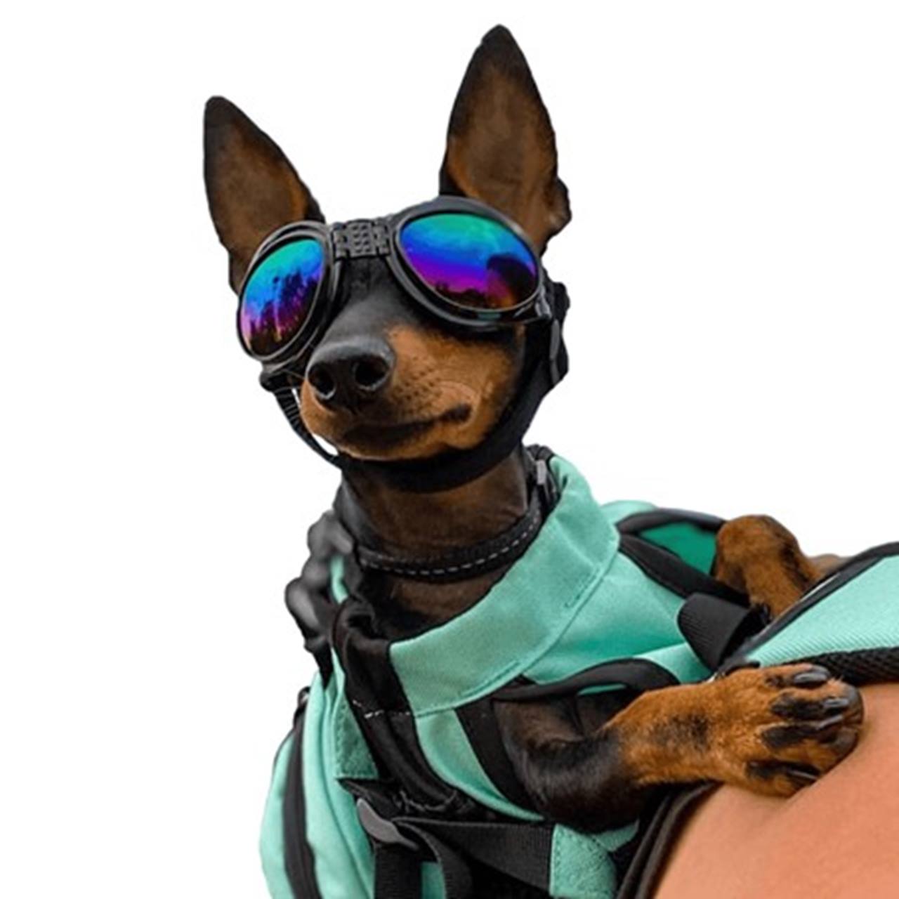 K9 Sport Shades - Hondenzonnebril wit