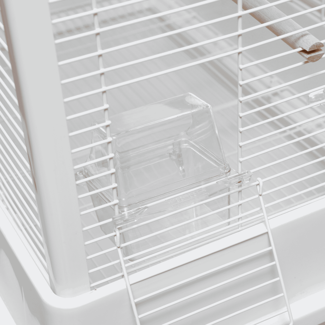 Bird Cage Ceasar M White