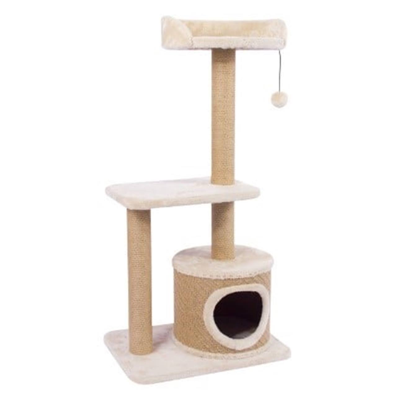 Cat scratcher nature