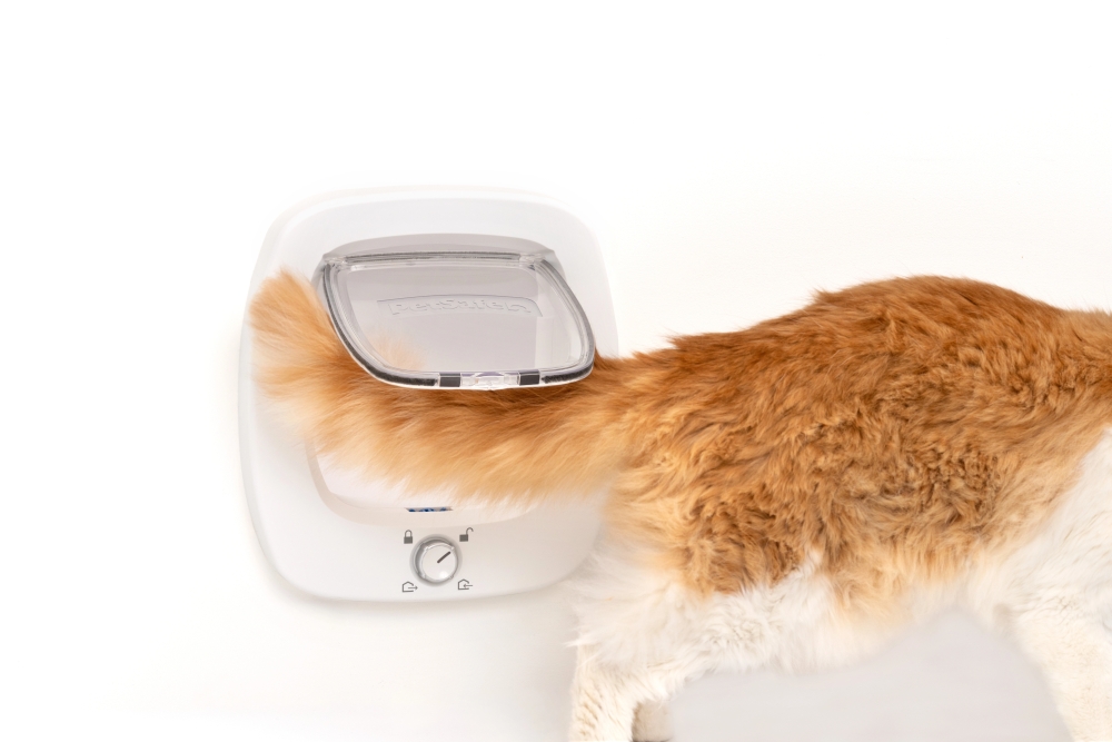 Big Cat Flap