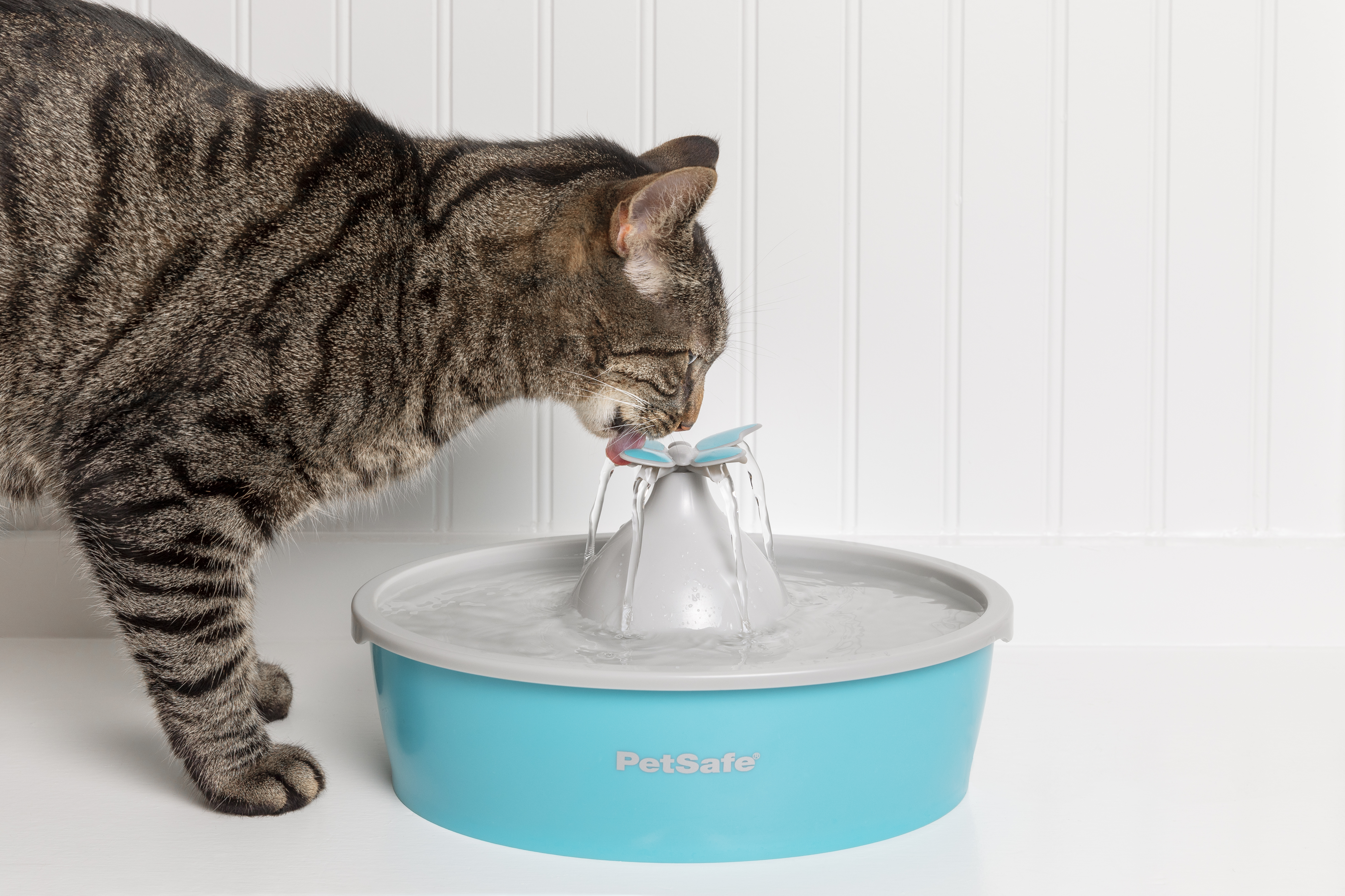 Drinkwell Butterfly Pet Fountain- EU Adaptor