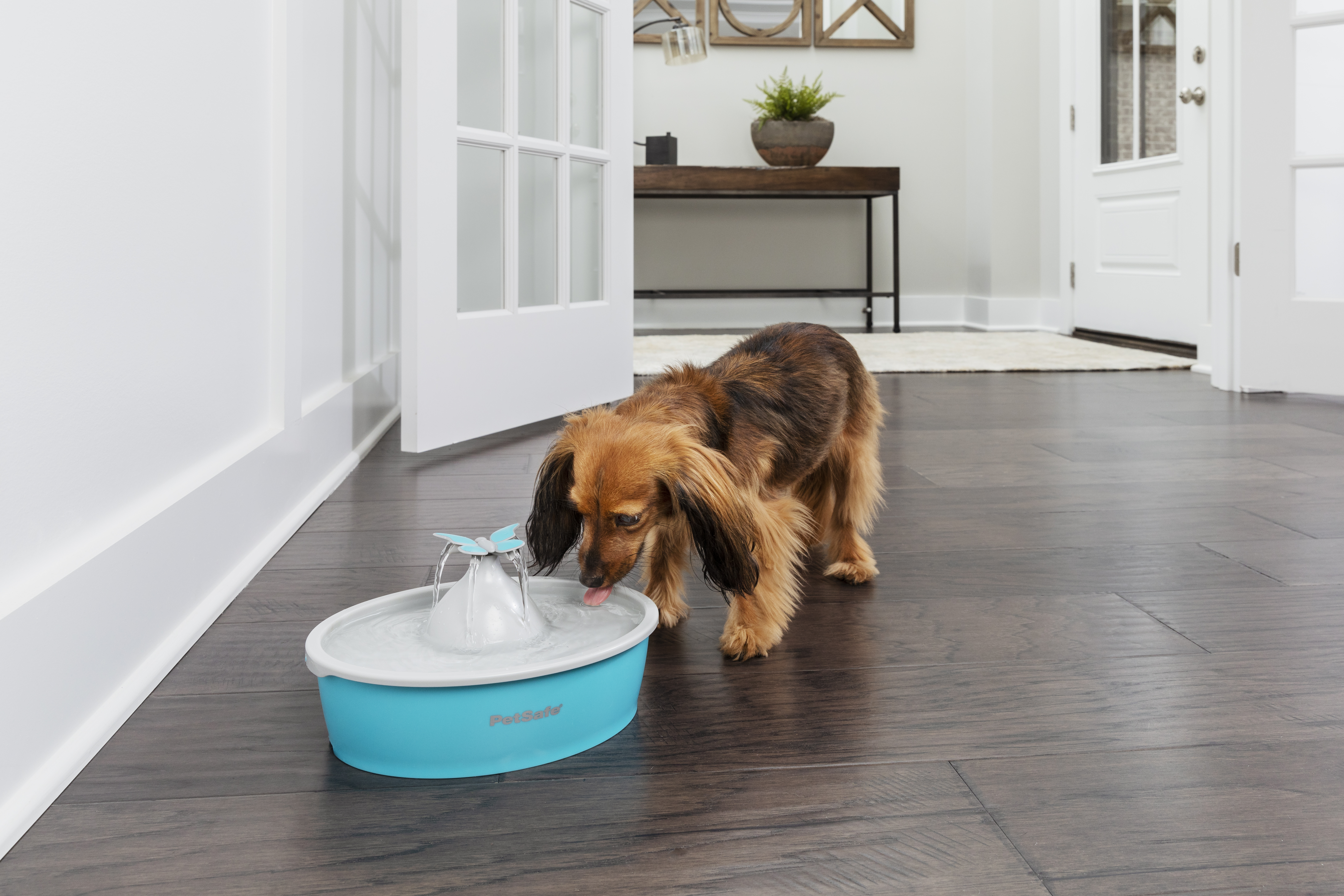 Drinkwell Butterfly Pet Fountain- EU Adaptor
